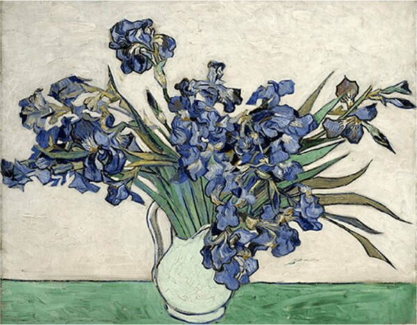 Reprodukce obrazu Vincenta van Gogha - Irises