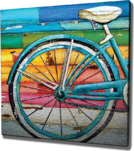 Nástěnný obraz na plátně Bike