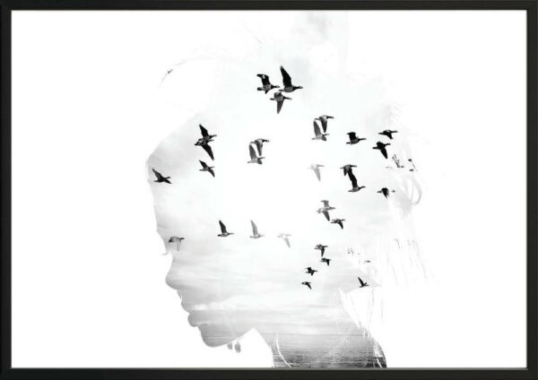 Nástěnný plakát v rámu GIRL/SILHOUETTE/BIRDS