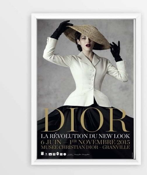 Nástěnný obraz v rámu Piacenza Art Dior With
