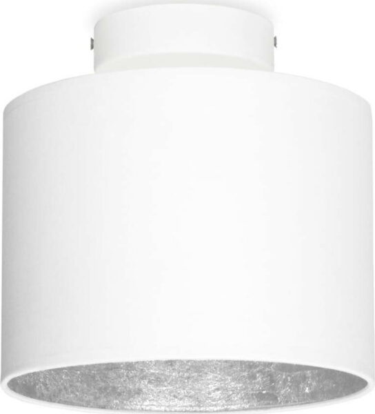 Bílé stropní svítidlo s detailem ve stříbrné barvě Sotto