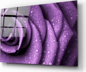 Skleněný obraz Insigne Purple