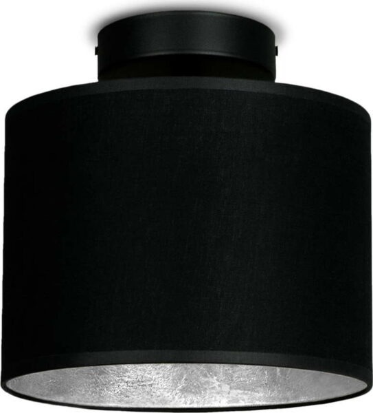 Černé stropní svítidlo s detailem ve stříbrné barvě